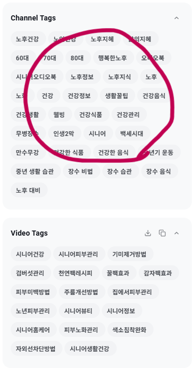 VidIQ Overview — Channel Tags, Video Tags