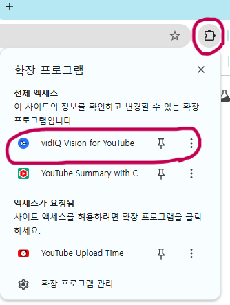 크롬 확장 프로그램 목록에서 VidIQ 확인