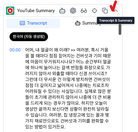 유튜브 영상 오른쪽에 Youtube Summary 작동 화면