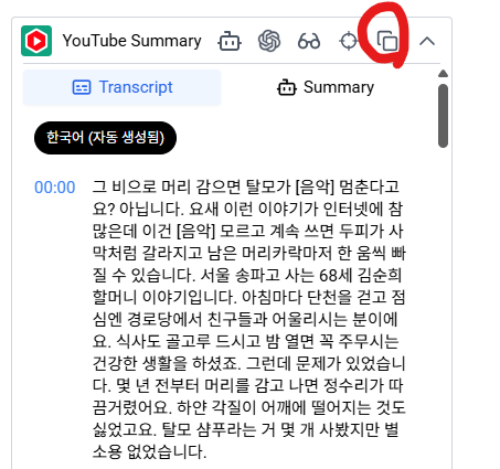 Youtube Summary 대본 텍스트 복사 화면