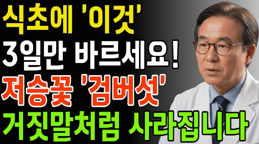 벤치마킹 썸네일 예시