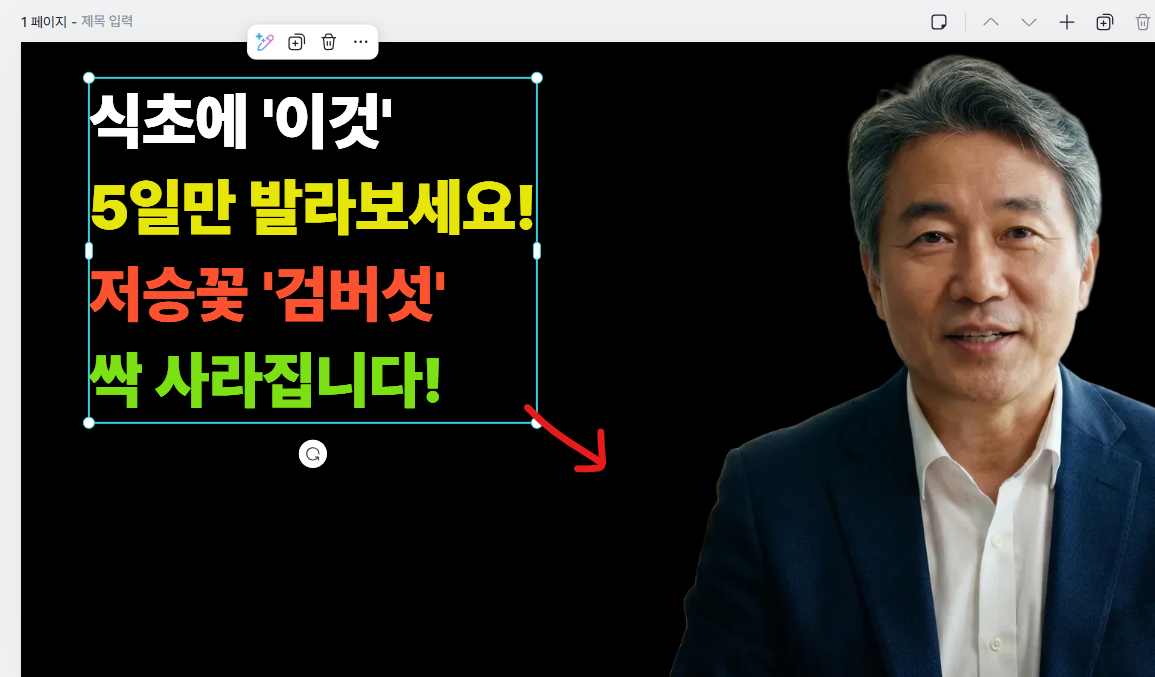 텍스트 크기 조정 전