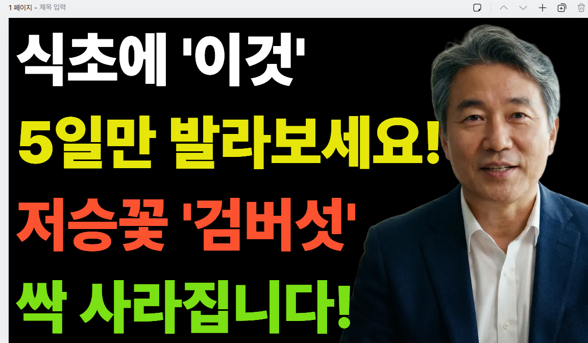 텍스트 크기 조정 후