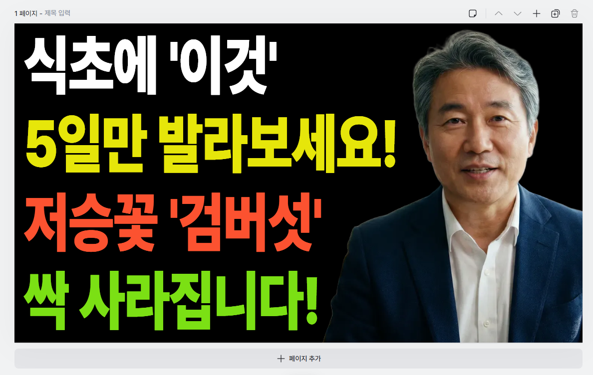 최종 텍스트 크기 조정