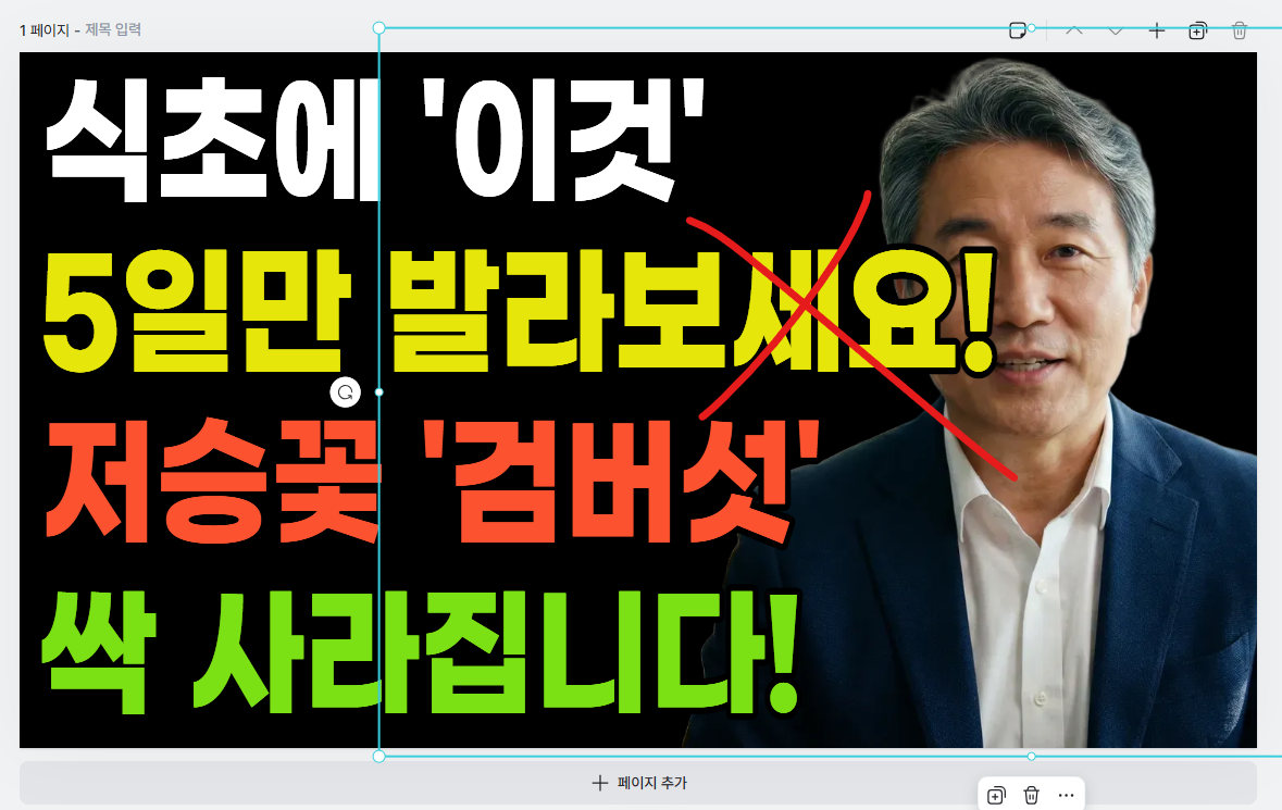 텍스트와 아바타 배치 예시