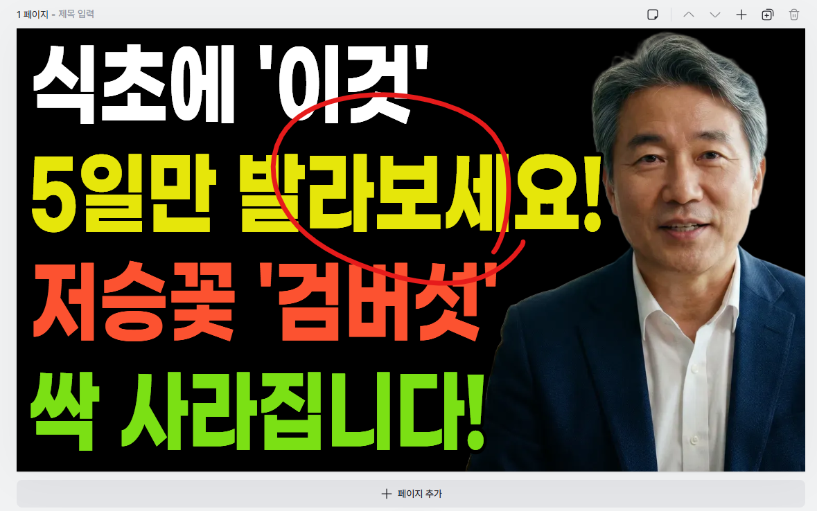 텍스트와 아바타 배치 예시