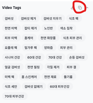 Video Tags 복사 화면